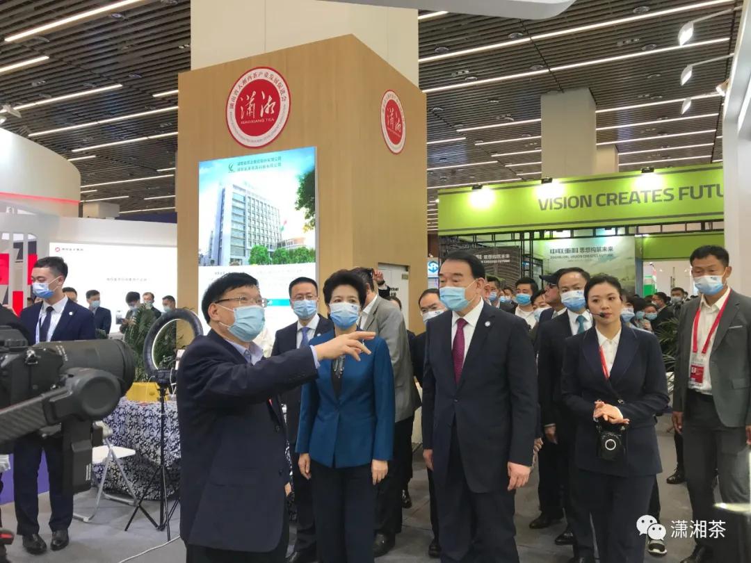 潇湘茶业年会,博鳌亚洲论坛雨林文化展