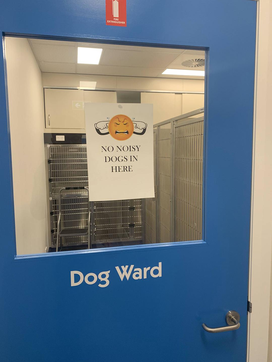 塔斯马尼亚心形小岛,降落西沙群岛