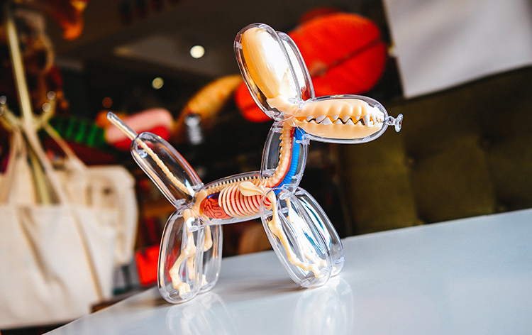 骷髅人体模型玩具,骷髅玩具真实版