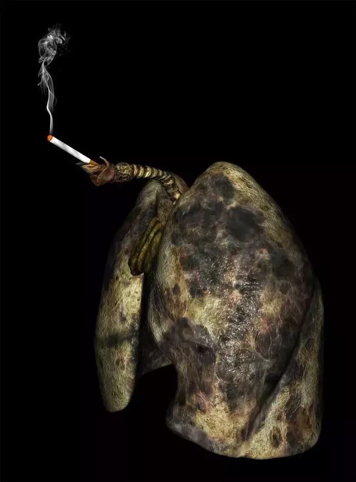 吸烟前只需一招让肺减轻无数伤害,吸烟草对肺有害吗