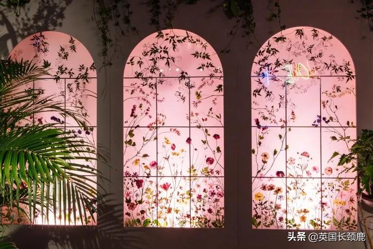 520/521：五月阳光下，伦敦依然盛放。记得常回来看看