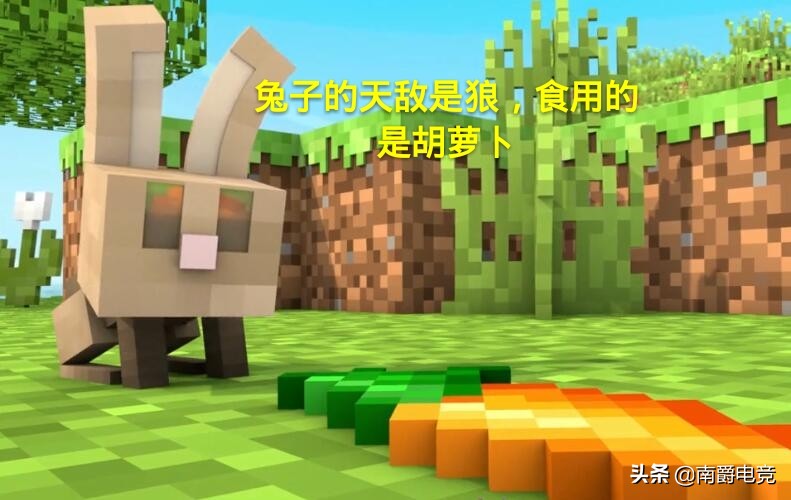 我的世界沙漠的兔子可以被驯服吗,兔子的冷知识之我的世界