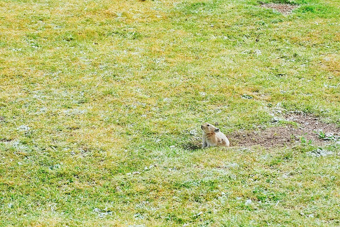 去一趟大西北的旅行,大西北旅行青藏高原