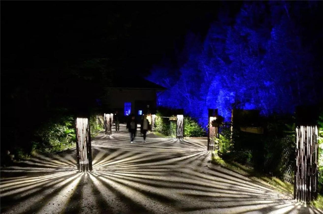 新加坡夜间动物园都有什么动物,新加坡动物园开放时间