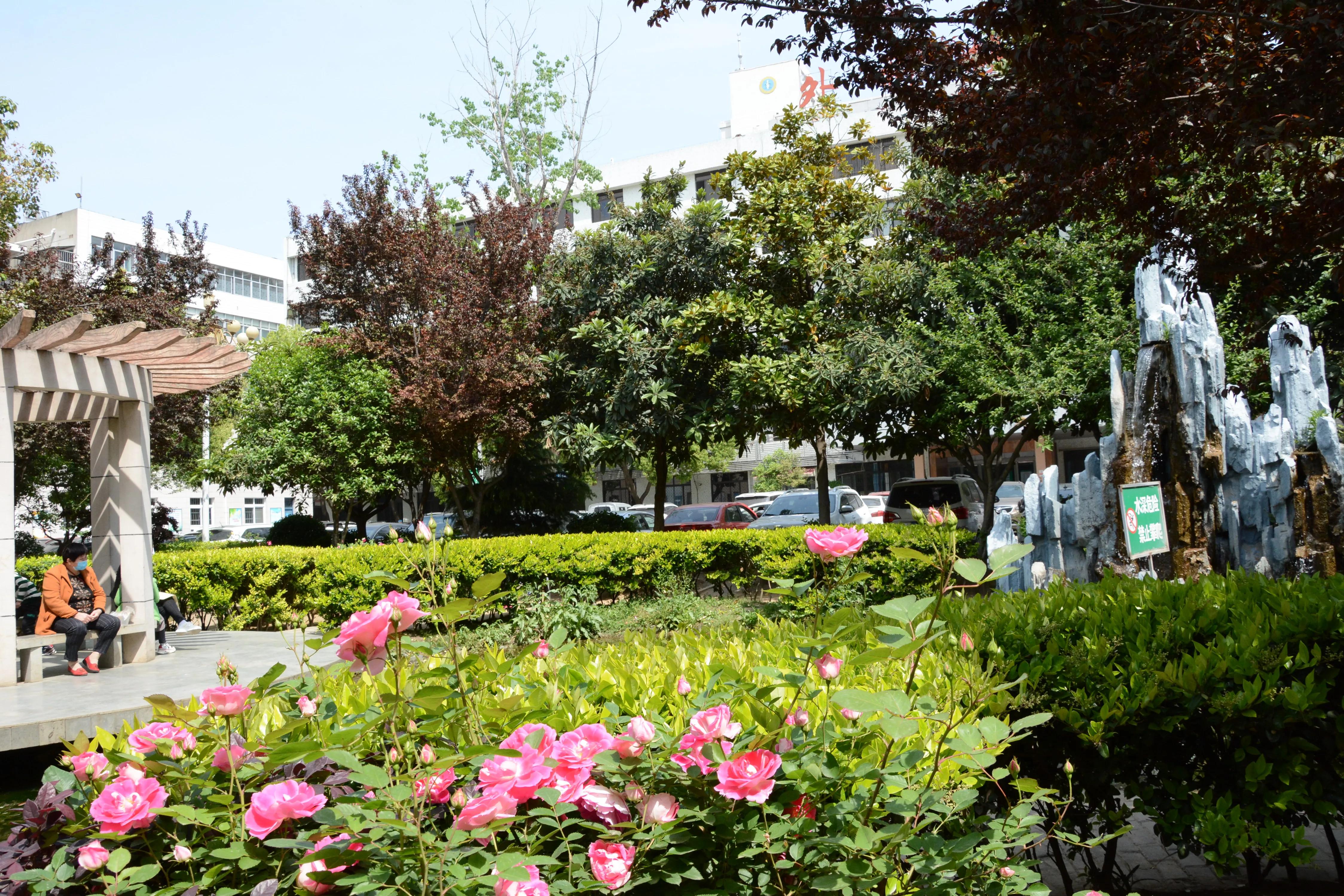大美医院,大美南阳医圣祠