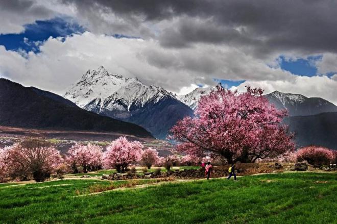 2月底林芝的风景,林芝春夏秋冬风景