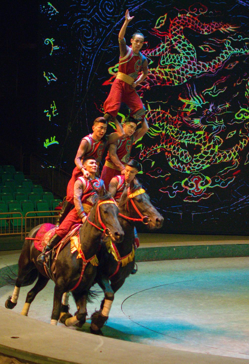 坝上草原骑马狂欢,坝上草原旅游全过程
