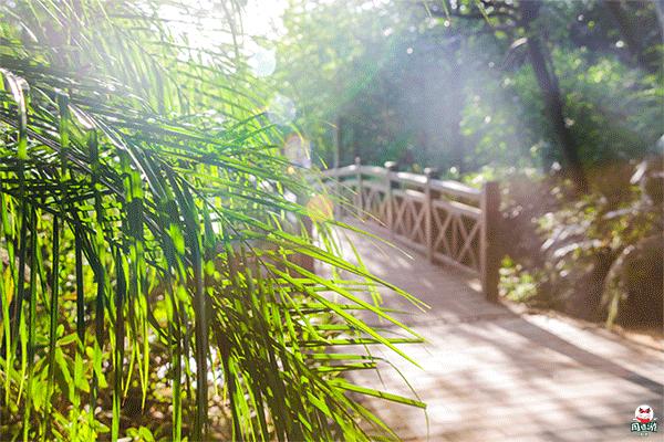 福州商场初几正常营业,福州各大超市营业时间调整