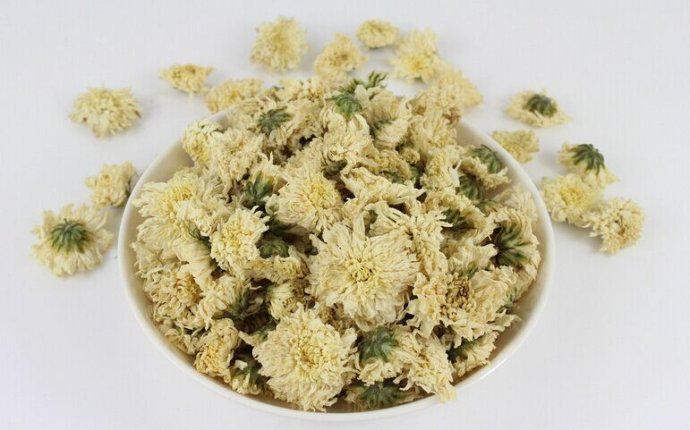 在这个干燥易过敏的季节,72岁名老中医每天必喝「桑蚕菊花茶」