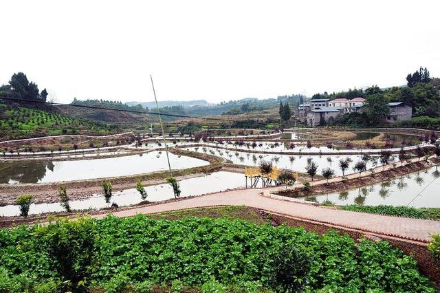 福德村改造方案2018,福德村2023改造新消息