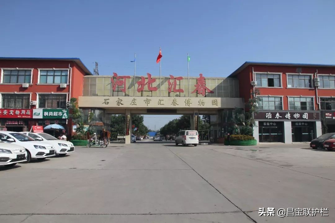 石家庄汇春博物园,石家庄汇春花卉市场几路公交