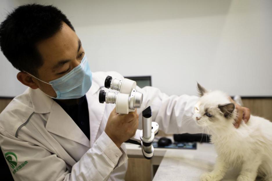 瑞派宠物医院告诉你最牛医院的正确打开方式