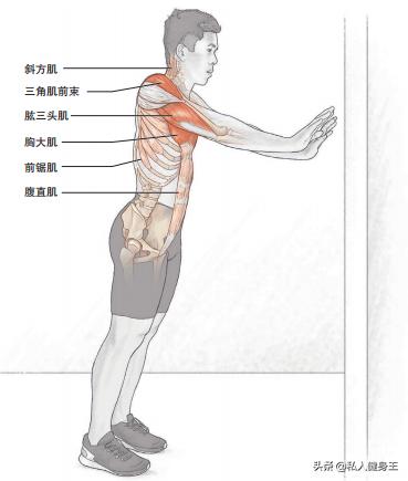 教你13分钟学会俯卧撑发力技巧,新手能做10个俯卧撑如何锻炼臂力