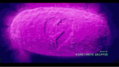 绝命毒师青少年,绝命毒师青少年完整版