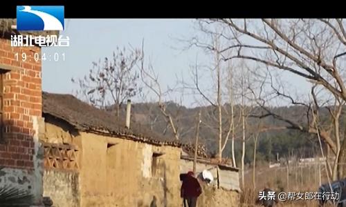 老大爷黄昏恋结果维持了不到10天,72岁大爷黄昏恋被骗