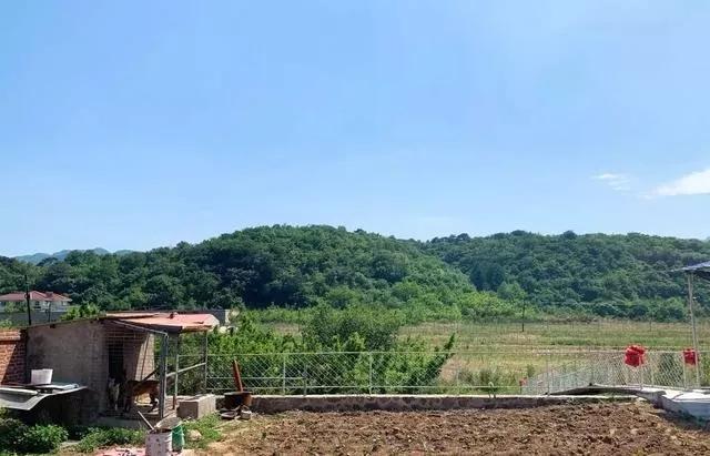 鞍山适合冬天聚餐的农家院,鞍山特色农家院推荐