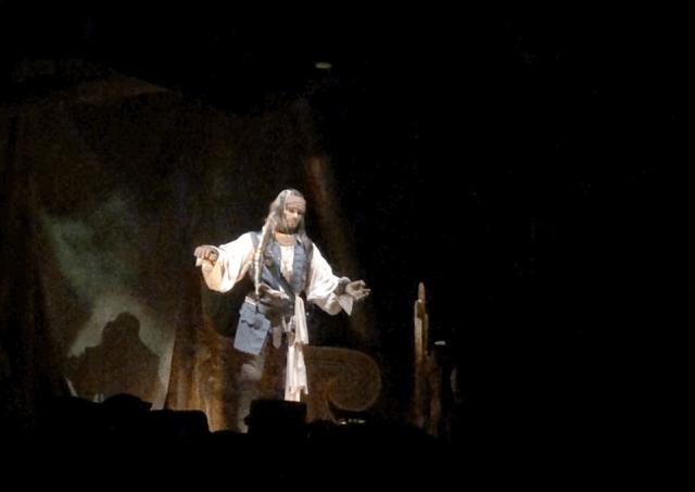 最新上海迪士尼乐园游玩攻略,上海迪士尼快来收获快乐