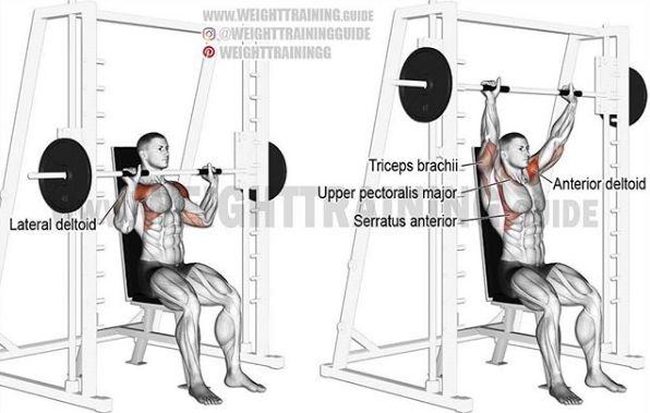 胸肩背臂腿腹训练动作,腰臀肌肉训练方法