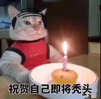 狗子掉毛红色,狗子掉毛皮肤发红是怎么回事