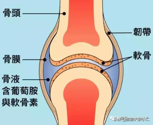 不吹不黑真实评测,美国costco必买的保健品movefree