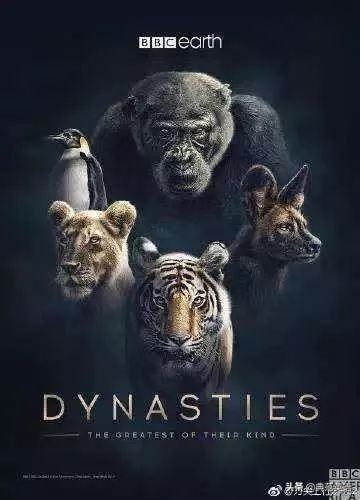 关于儿童英语学习的书,0岁到3岁儿童英语必读书单