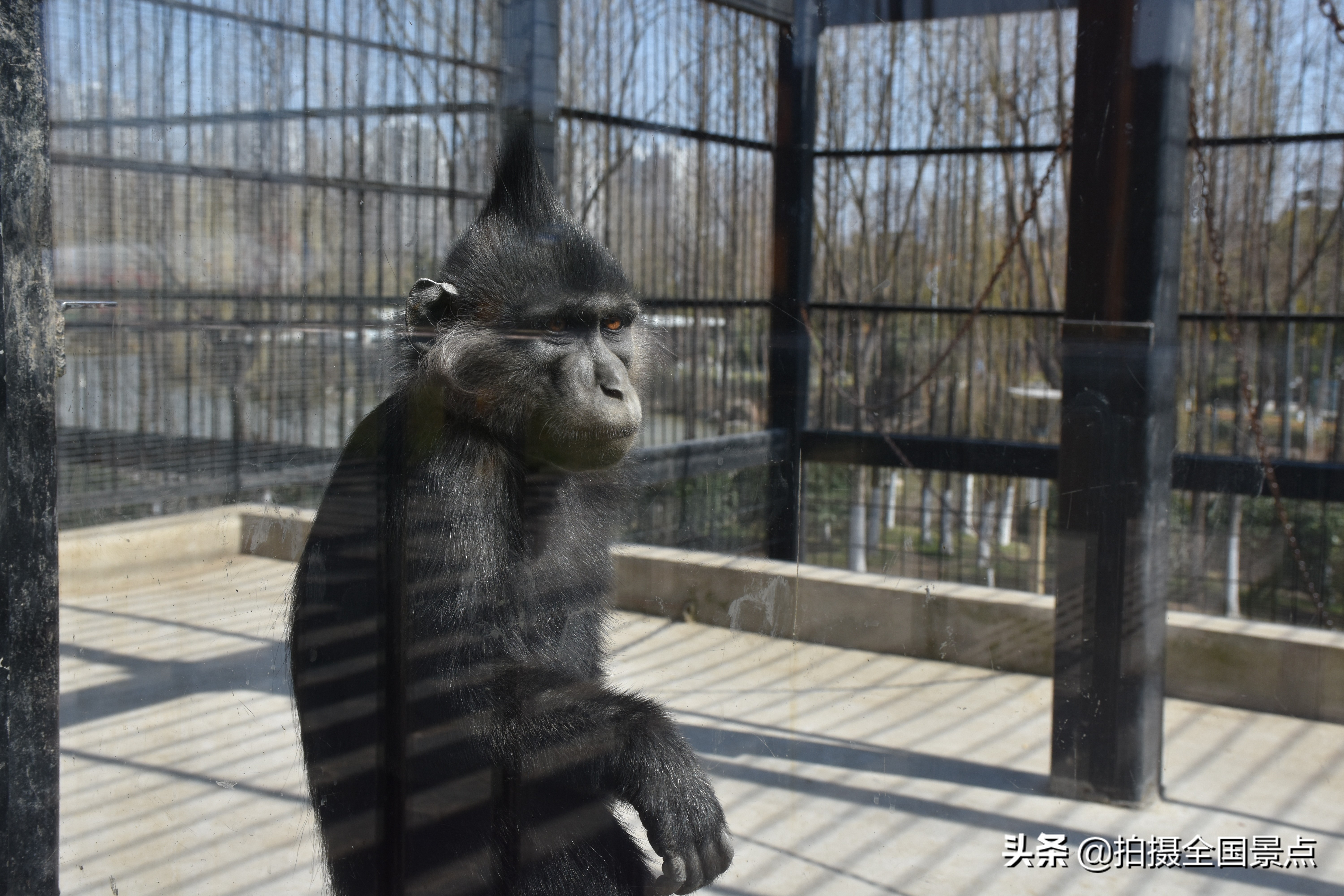 淮安动物园旅游景点推荐,淮安动物园在什么位置