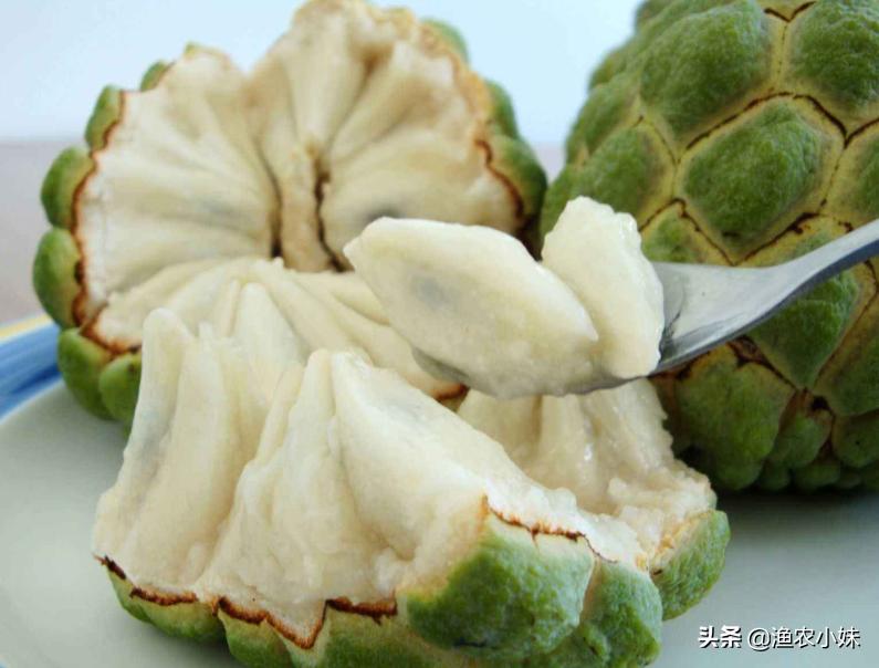 中国进口越南水果2019年 (越南水果为什么要进口)