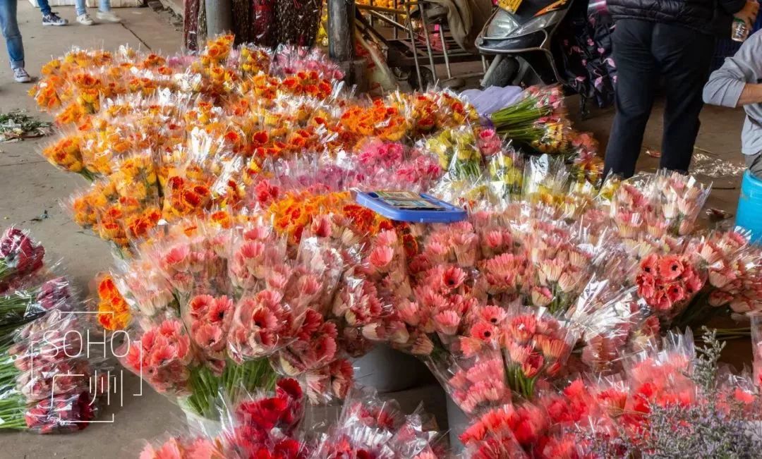 想当年，我在芳村区长大