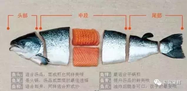 三文鱼都可以做成哪些好吃的,冰冻的三文鱼鱼头怎么做好吃