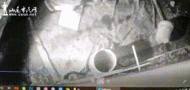 蛇怕鹅鸭粪,蛇怕鹅粪科学解释