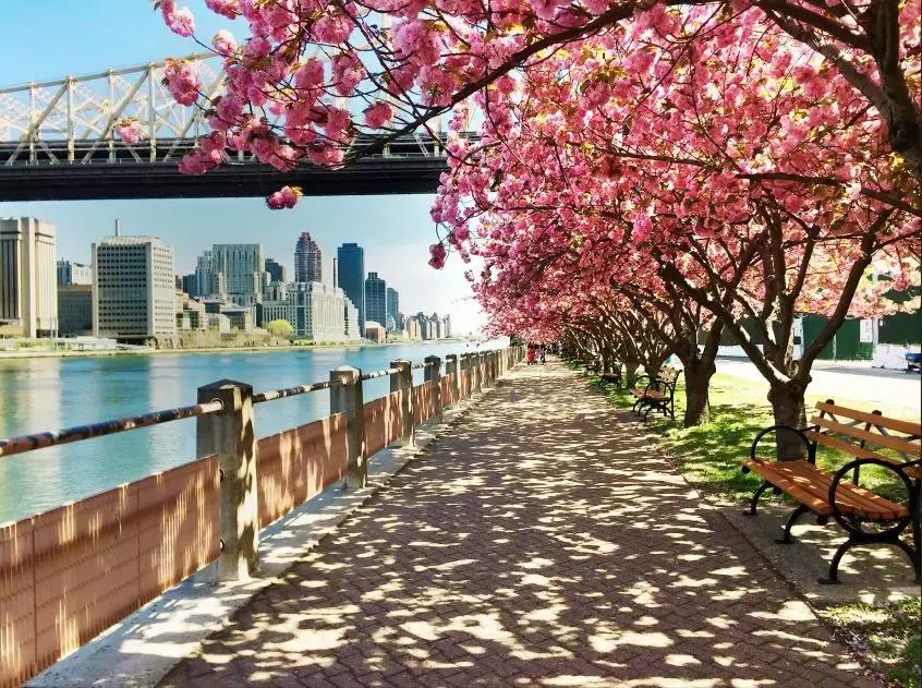 十大旅行冷知识,旅行冷知识50个