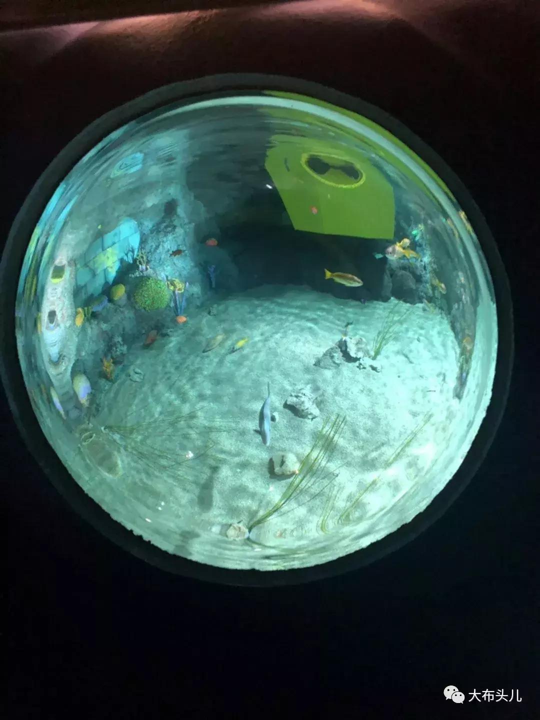 布头儿旅行｜日本名古屋X白川乡自由行（上）解锁乐高乐园