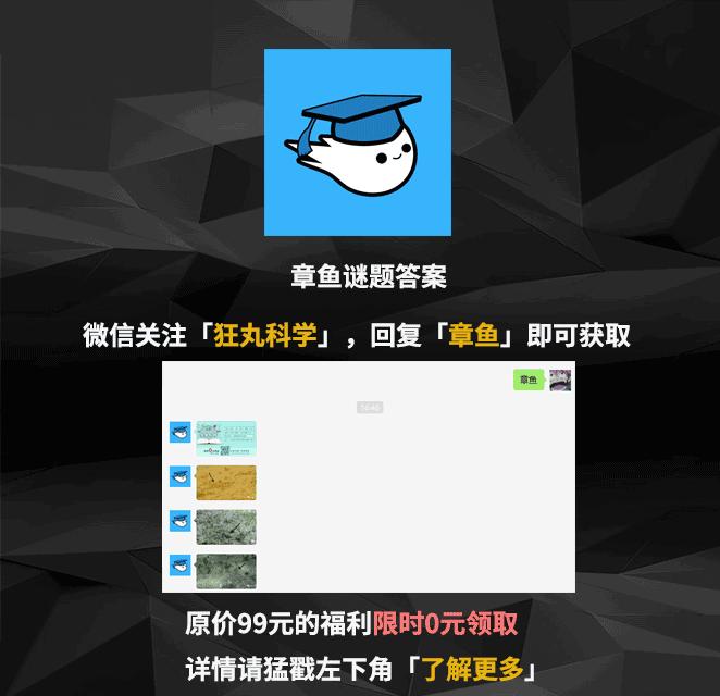 章鱼为什么有这么多怪异的身体,章鱼会两条腿走路