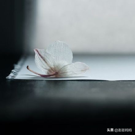 毕业后，我误入歧途，当了酒店小姐