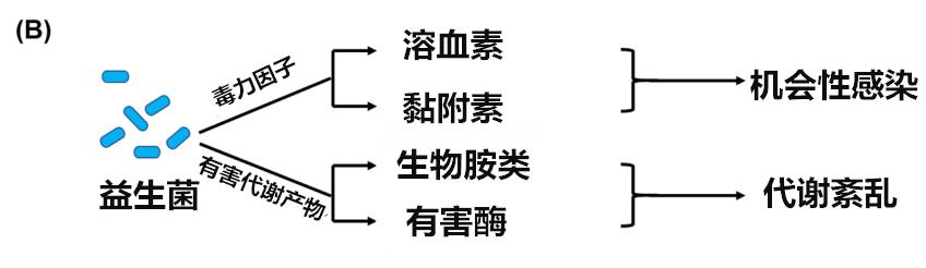 益生菌的现状分析,警惕益生菌带来的不良后果