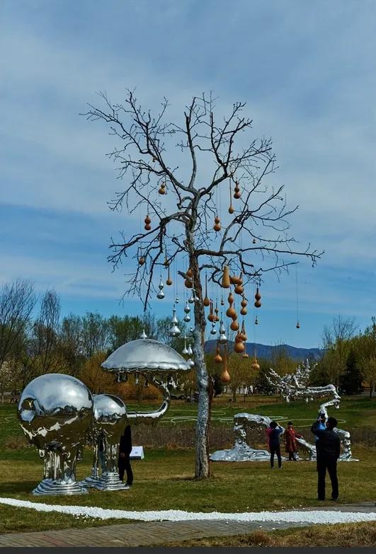 陈文令麦道夫最新信息 (陈文令对麦道夫的评价)