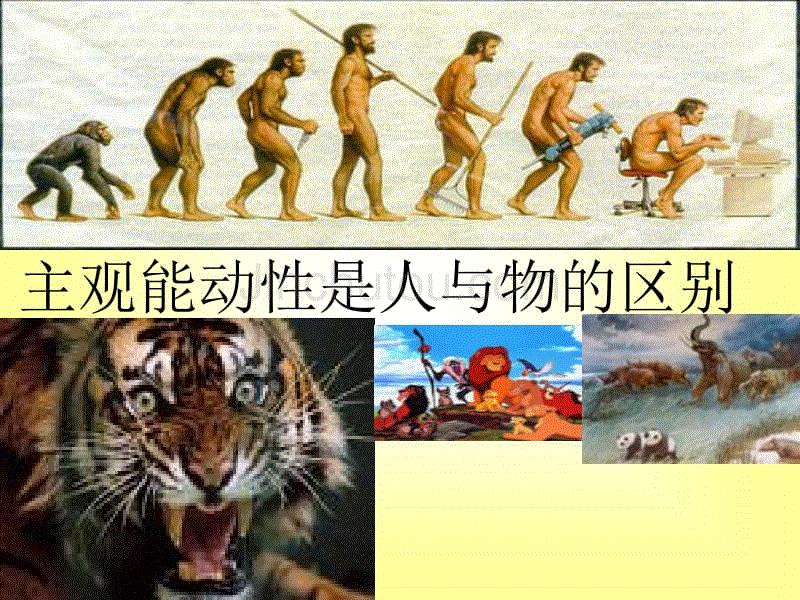 哲学的目标是追求真理,哲学是智慧而且是爱的智慧