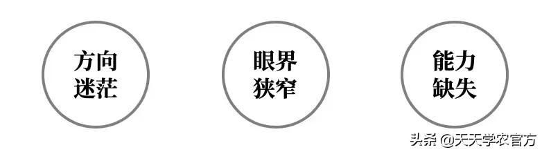 黄龙病使柑橘退化,柑橘黄龙病产业调整指导意见