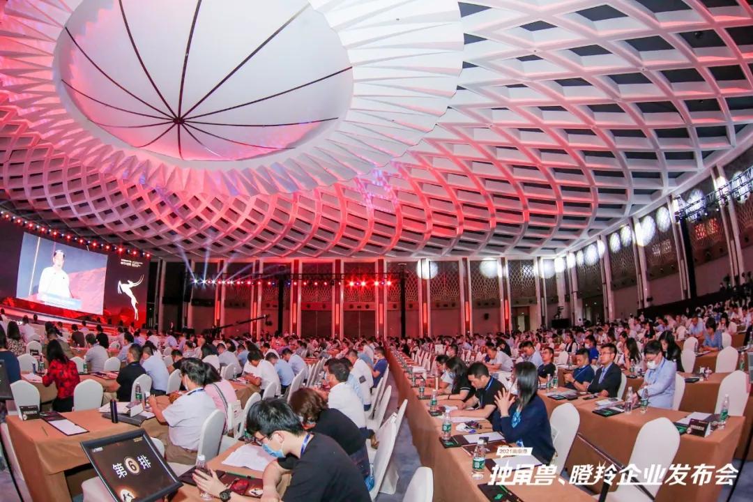 2023年南京瞪羚企业,奔跑吧瞪羚