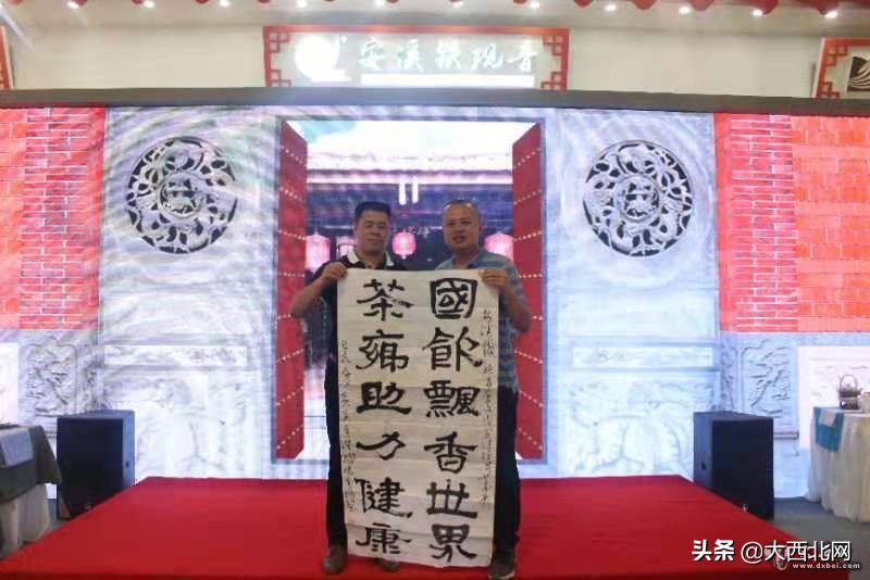 特级高山兰花香安溪铁观音,安溪铁观音茶展12届