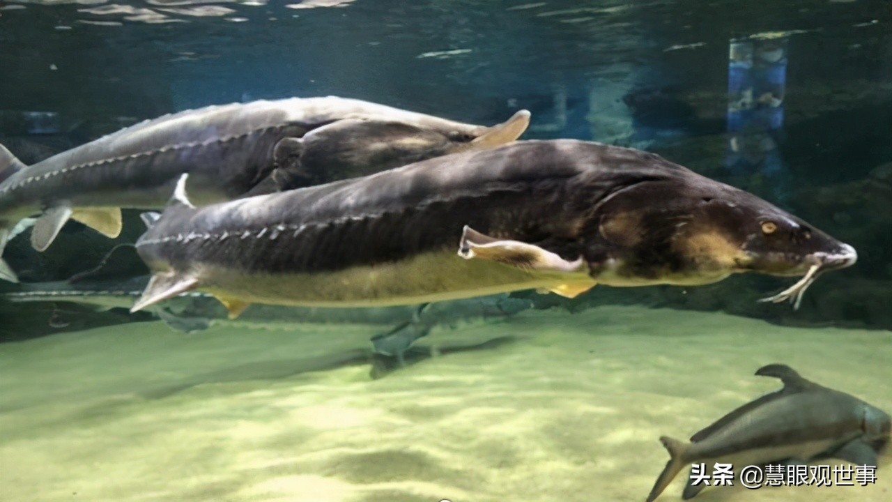 侯海洋基层风云在什么app上读,侯海洋基层风云10部在线阅读