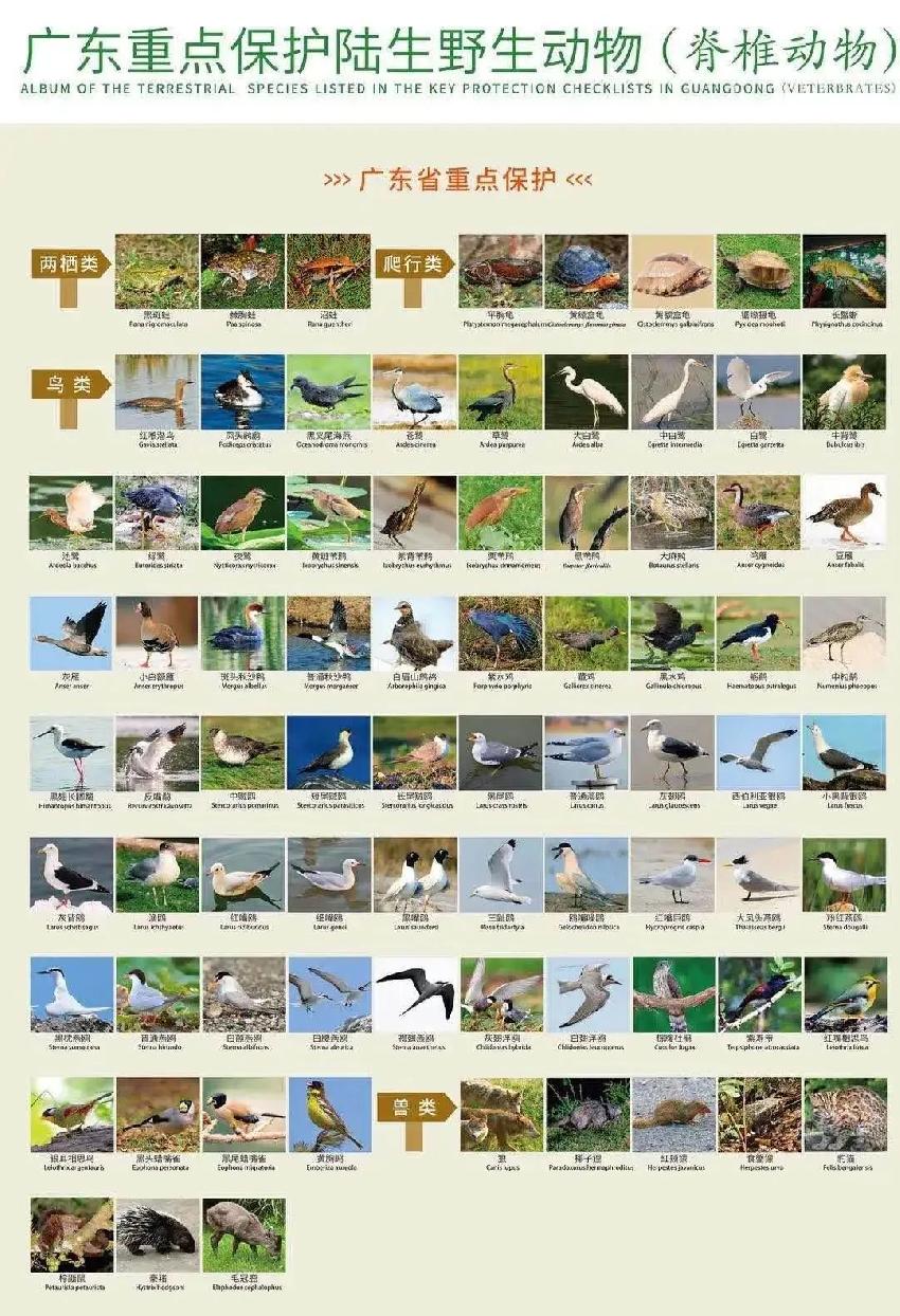 餐饮老板大呼扛不住!纷纷要求减免三四月租金