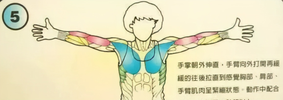 打羽毛球如何拉伸热身,打羽毛球前拉伸动作热身