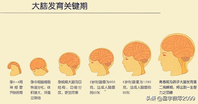 人的大脑潜能可全被激发出来吗,人的大脑有用吗