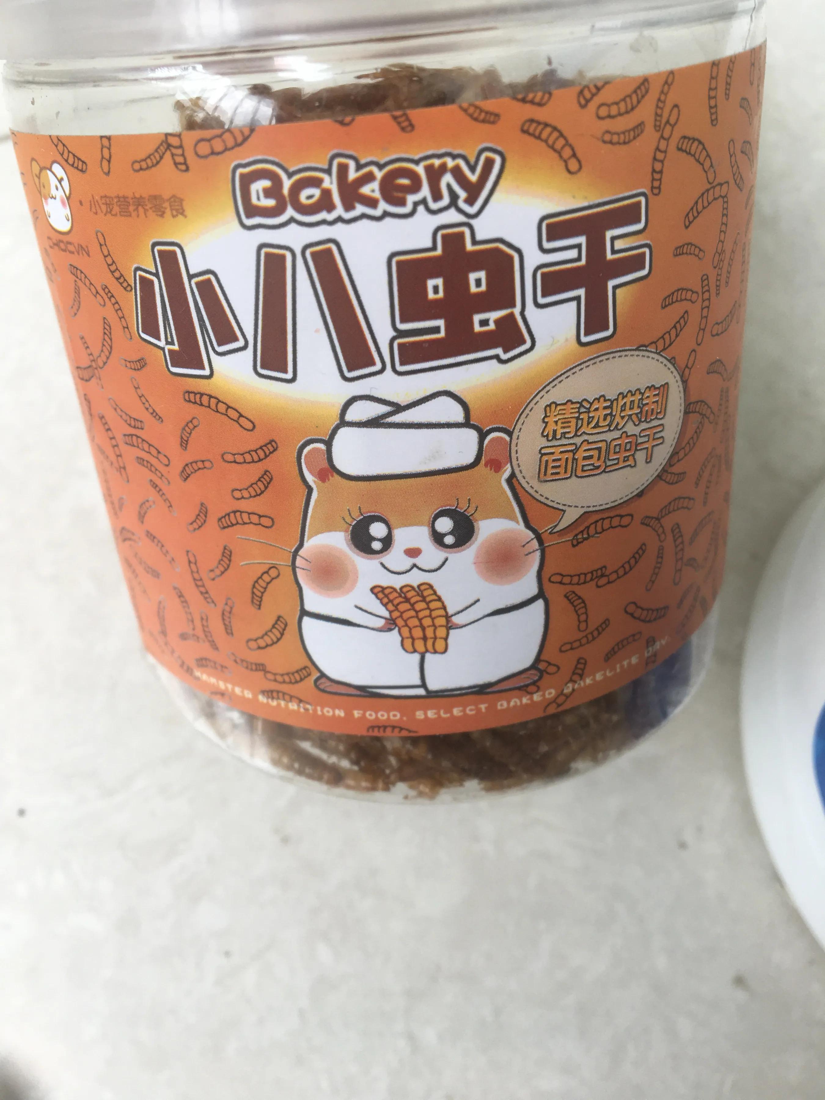 仓鼠观察记录表格,仓鼠逃亡记录视频