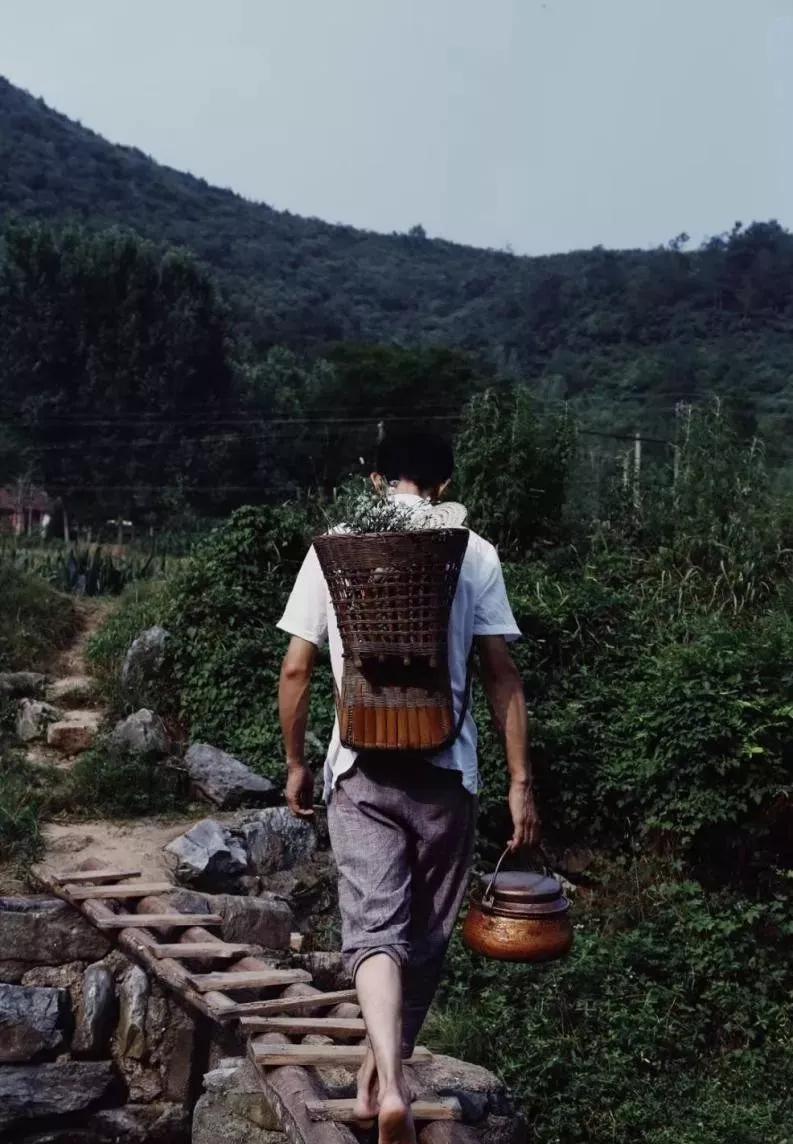 80后夫妻住山,80后两口子隐居大山