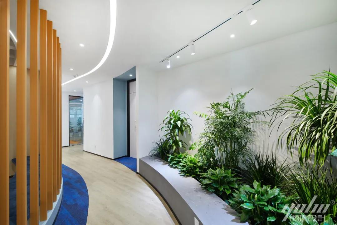 办公室植物墙装修,办公室装修什么墙最好