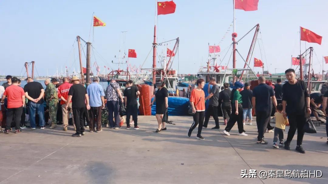 秦皇岛一月份去哪里买海鲜便宜,秦皇岛哪里可以在海边买海鲜