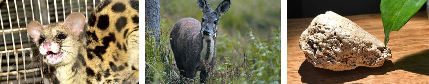 香水全攻略5分钟教你学会选香水,干货建议怎么穿才能get高级感