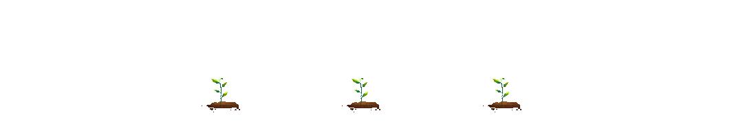 4本高收藏《逞骄》《晚庭春》《偏执的浪漫》《你追不到的女主》